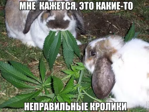 Смешная картинка №180776