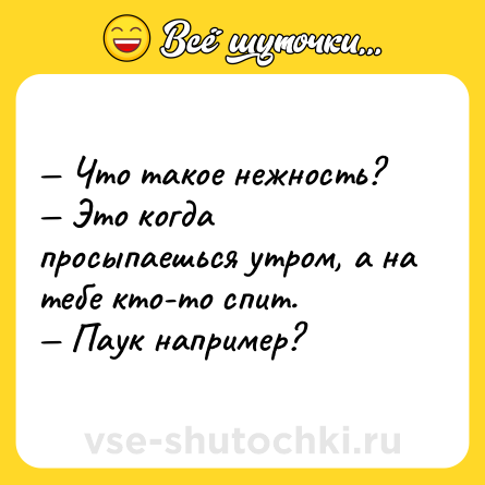 Шутка: — Что такое нежность?<br>— Это когда просыпаешься утром, а на тебе кто-то спит.<br>— Паук например?