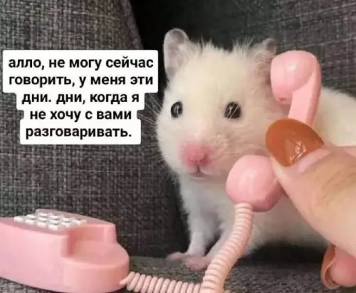 Смешная картинка №760634