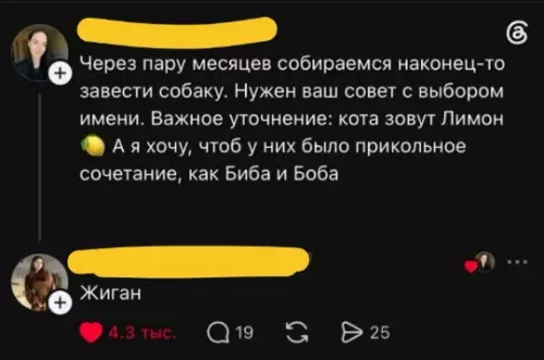 Смешная картинка №821142 домашние животные