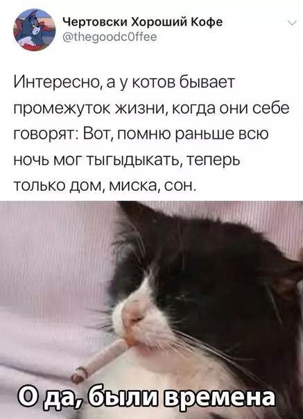 Смешная картинка №385729