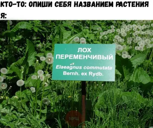 Смешная картинка №215400