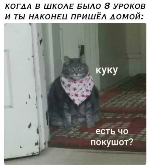 Смешная картинка №242504