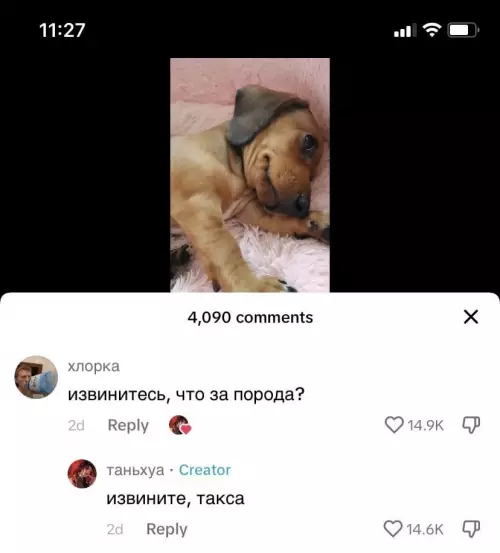 Смешная картинка №717212 На всякий случай, извините