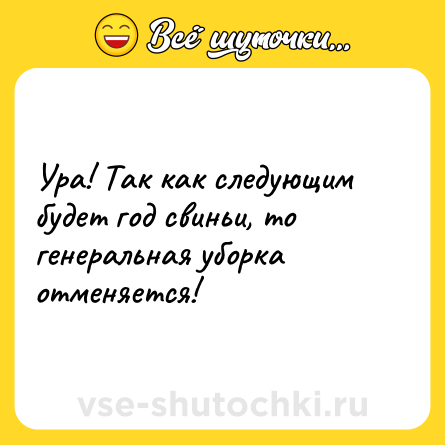 Шутка: Ура! Так как следующим будет год свиньи, то генеральная уборка отменяется!