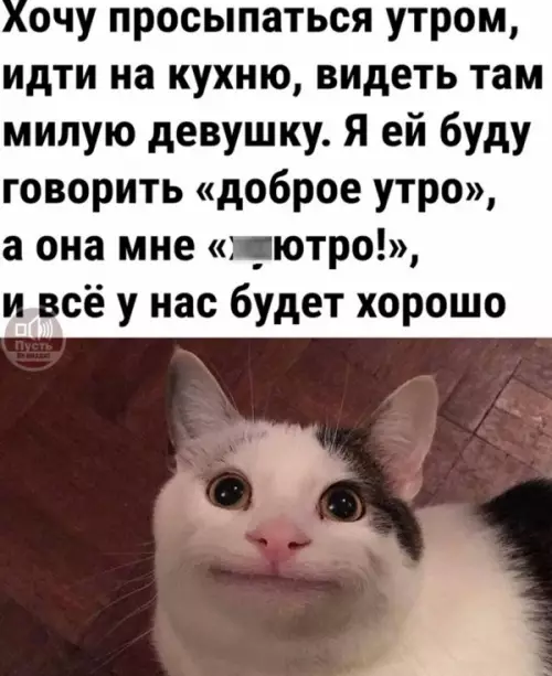 Смешная картинка №648586