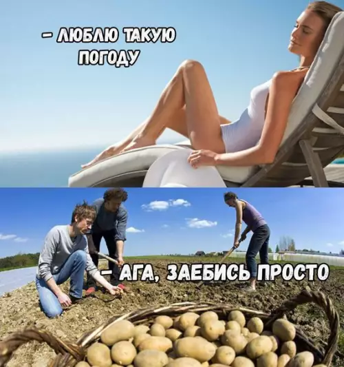 Смешная картинка №203013