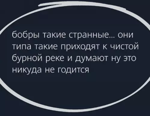 Смешная картинка №708854 бобры