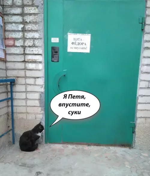 Смешная картинка №262836