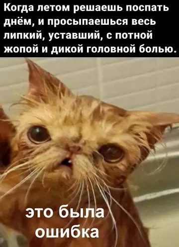 Смешная картинка №773625