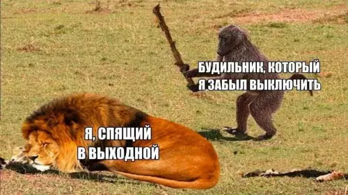 Твое утро в субботу выглядит так 🦁💤 - БУДИЛЬНИК, КОТОРЫЙ Я ЗАБЫЛ ВЫКЛЮЧИТЬ Я, СПЯЩИЙ В ВЫХОДНОЙ