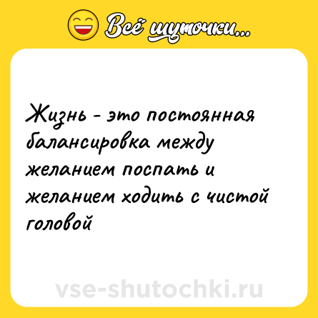 Шутка: Жизнь - это постоянная балансировка между желанием поспать и желанием ходить с чистой головой