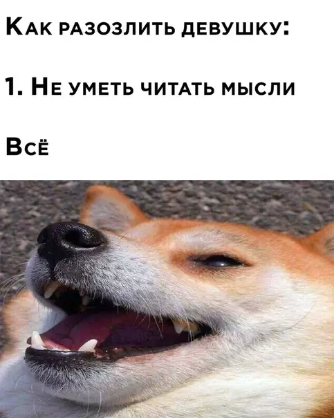 Смешная картинка №533338