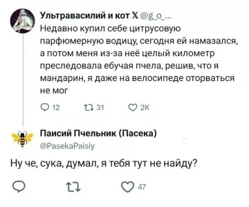 Пчела-терминатор и цитрусовый десерт 🐝 - Недавно купил себе цитрусовую парфюмерную водицу, сегодня ей намазался, а