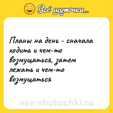 Шутка: Планы на день - сначала ходить и чем-то возмущаться, затем лежать и чем-то возмущаться