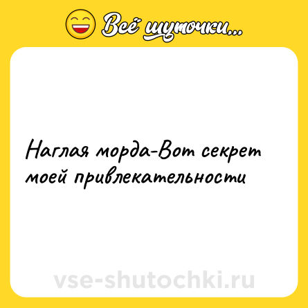 Шутка: Наглая морда-Вот секрет моей привлекательности