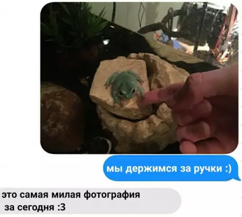 Смешная картинка №496784 Милоты пост