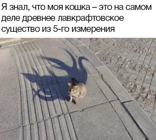 Смешная картинка №667475