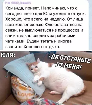 Смешная картинка №652635 работа, отпуск