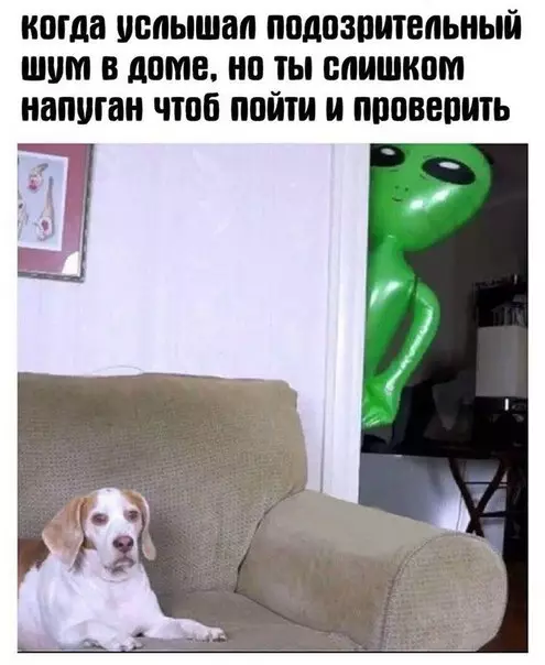 Смешная картинка №207228
