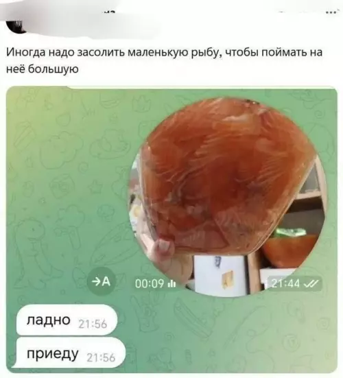 Смешная картинка №787350
