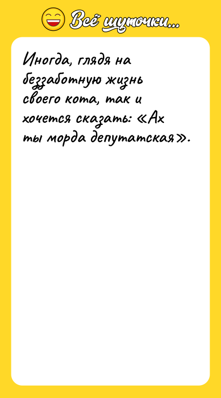 Шутка: Иногда, глядя на беззаботную жизнь своего кота, так и хочется сказать: Ах ты морда депутатская .