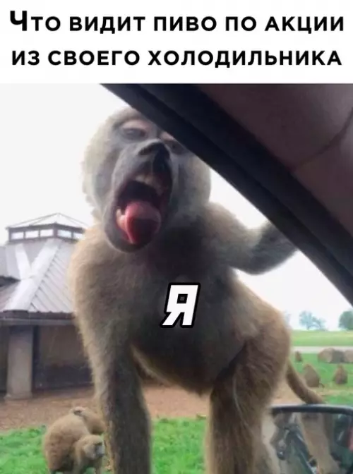 Смешная картинка №671944