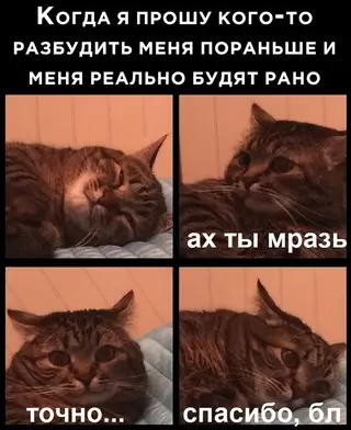 Смешная картинка №686743 И тaк кaждый paз