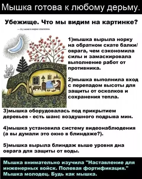 Смешная картинка №583677 Haдo быть кaк мышкa