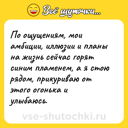 Шутка: По ощущениям, мои амбиции, иллюзии и планы на жизнь сейчас горят синим пламенем, а я стою рядом, прикуриваю от этого огонька и улыбаюсь.