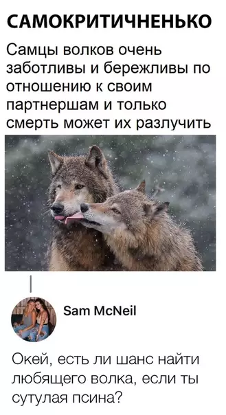 Смешная картинка №312242