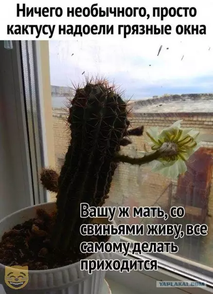 Смешная картинка №333165 #приколы #картинки #мемы ?