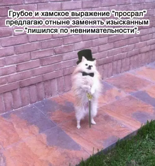 Смешная картинка №520556 Отлично придумано