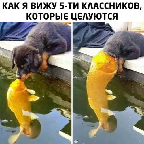 Смешная картинка №506714