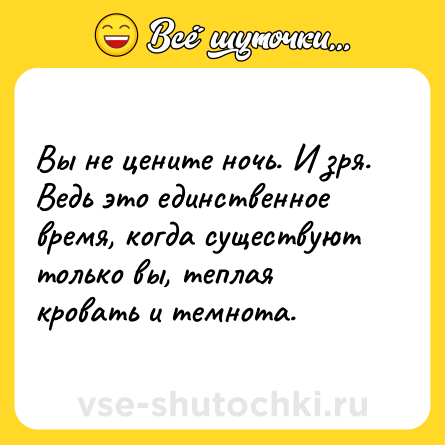 Шутка: Вы не цените ночь. И зря. Ведь это единственное время, когда существуют только вы, теплая кровать и темнота.