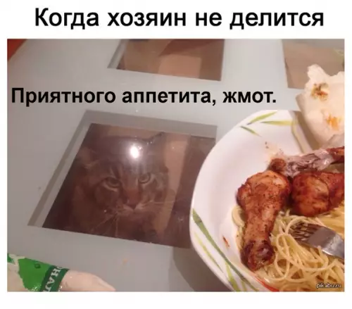 Смешная картинка №512708 готовь тапки)