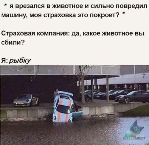 Смешная картинка №312784