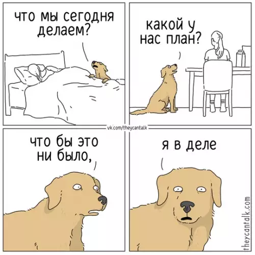 Смешная картинка №767282
