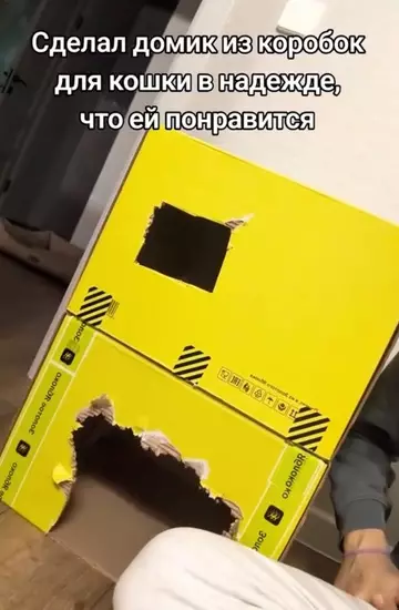 Смешная картинка №763706 Ей понравилось