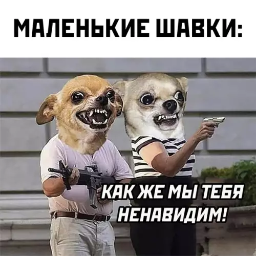 продолжение Смешная картинка №568619