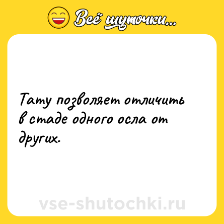 Шутка: Тату позволяет отличить в стаде одного осла от других.