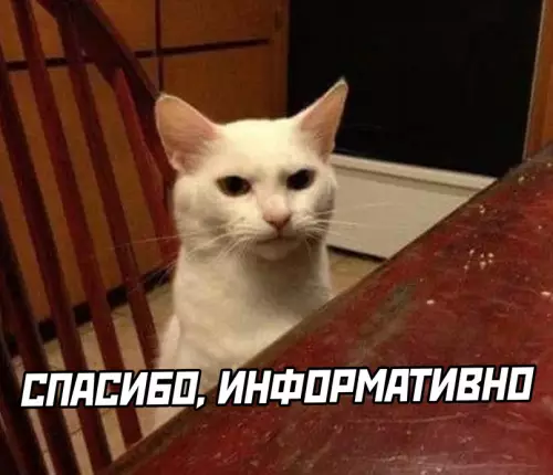 продолжение Смешная картинка №627780