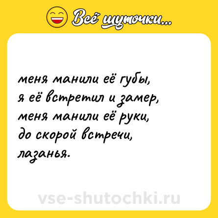Шутка: меня манили её губы,  <br>я её встретил и замер,  <br>меня манили её руки, <br>до скорой встречи, лазанья.