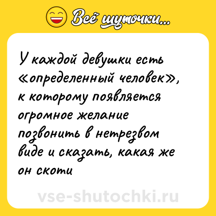 Шутка: У каждой девушки есть определенный человек , к которому появляется огромное желание позвонить в нетрезвом виде и сказать, какая же он скоти