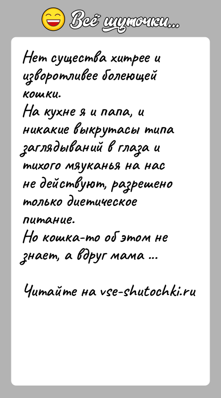 История: Нет существа хитрее и изворотливее болеющей кошки.На кухне я и папа, и никакие выкрутасы типа заглядываний в глаза и тихого