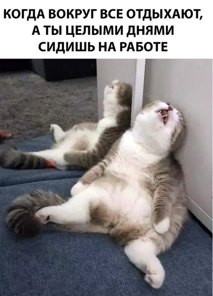 Смешная картинка №286423