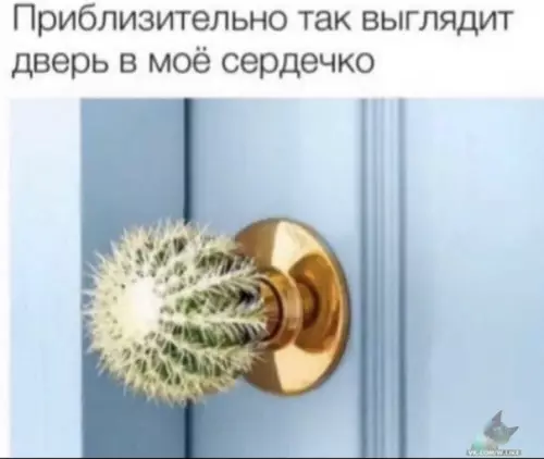 Смешная картинка №447862