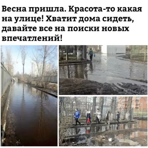 Смешная картинка №264833