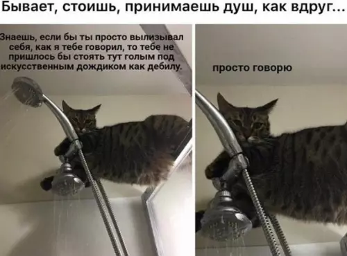 Смешная картинка №534088