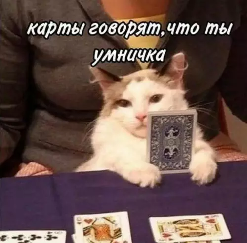 Смешная картинка №688334